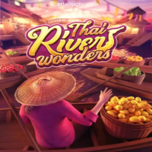 CATTAILPG: A Plataforma de Apostas #1 do Brasil Casino App